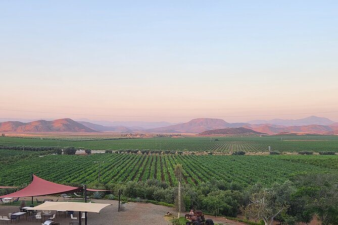 Valle de Guadalupe Private Wine Tour - Final Thoughts