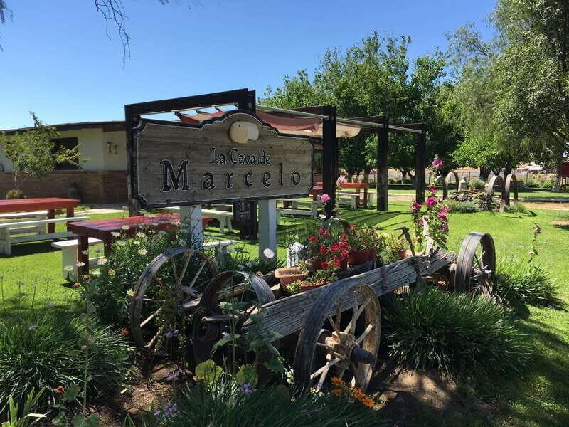 Valle de Guadalupe: Wine & Cheese Tour - Exploring the Valle de Guadalupe: What to Expect
