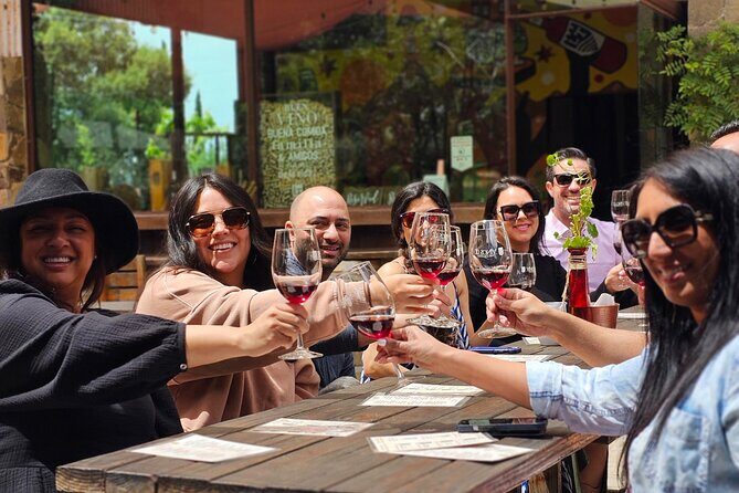 Valle de Guadalupe Wine Experience: Wine Tastings Included - In-Depth Look at the Valle de Guadalupe Wine Experience