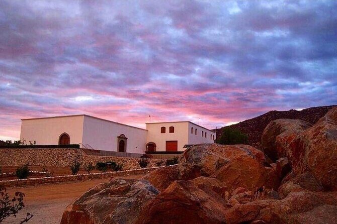 Valle de Guadalupe Wine Experience: Wine Tastings Included - FAQ