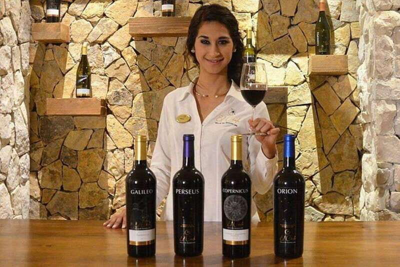 Valle de Guadalupe: Wine Tasting and Wagon Tour - An Introduction to the Experience
