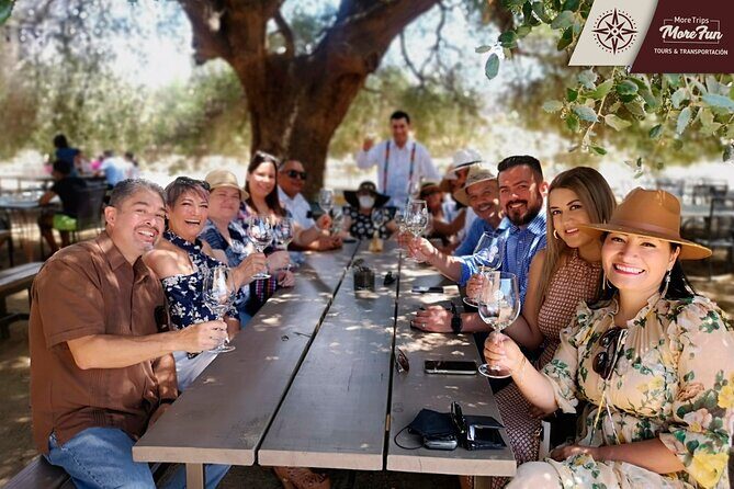 Valle de Guadalupe winery and brewery tours - An Overview of the Valle de Guadalupe Experience