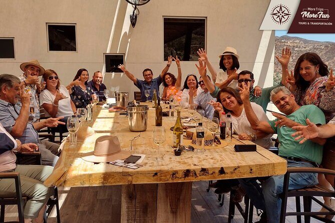 Valle de Guadalupe winery and brewery tours - The Practicalities: Logistics and Considerations