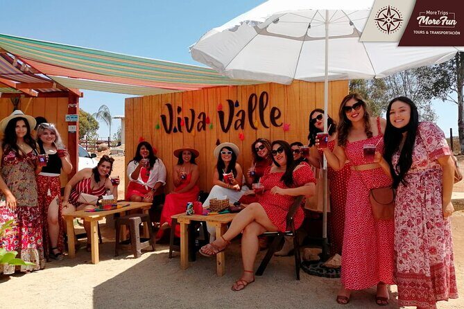 Valle de Guadalupe winery and brewery tours - Why This Tour Offers Real Value
