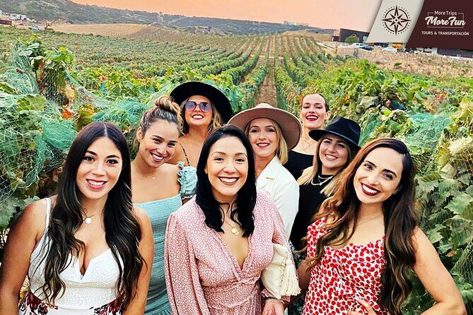 Valle de Guadalupe winery and brewery tours - Who Will Love This Tour?