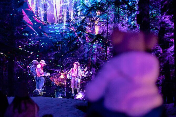 Vallea Lumina Multimedia Evening Experience - Key Points