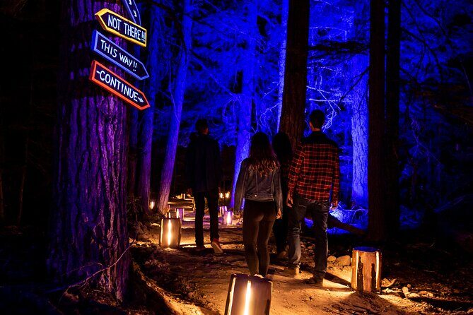 Vallea Lumina Multimedia Evening Experience - How the Experience Is Structured