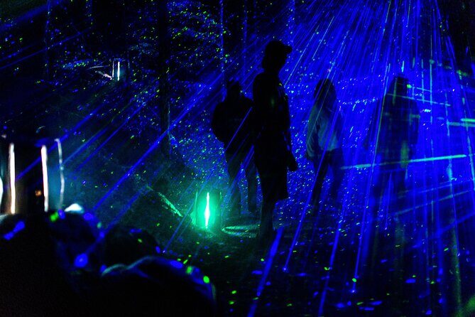 Vallea Lumina Multimedia Evening Experience - Pricing & Value