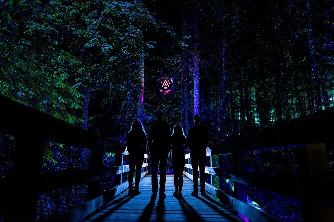 Vallea Lumina Multimedia Evening Experience - Practical Tips for Visitors