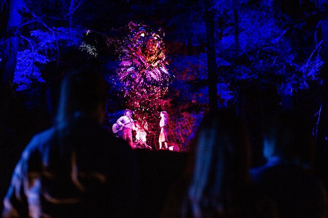 Vallea Lumina Multimedia Evening Experience - Who Should Consider Vallea Lumina?