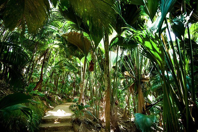 Vallee de Mai Tour (From Praslin) - Who Would Enjoy This Tour?