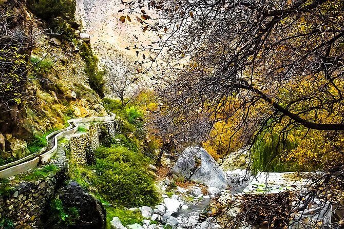 Valley & Garden - An Artistic Beginning: Anima Garden