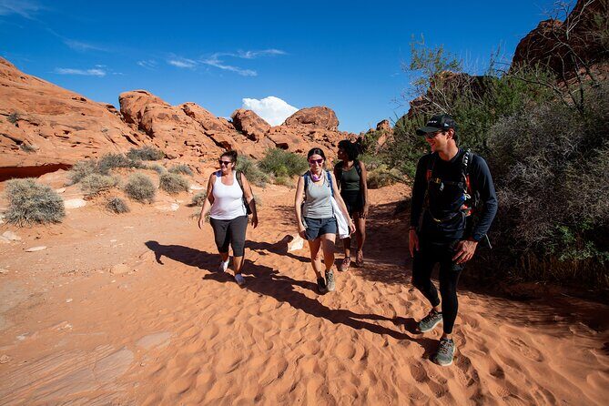 Valley of Fire Guided Hiking Tour and Mojave Desert Adventure - An In-Depth Look at the Valley of Fire Guided Hiking Tour