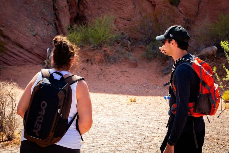Valley of Fire Guided Hiking Tour & Mojave Desert Adventure - Whats Included and Why It Matters