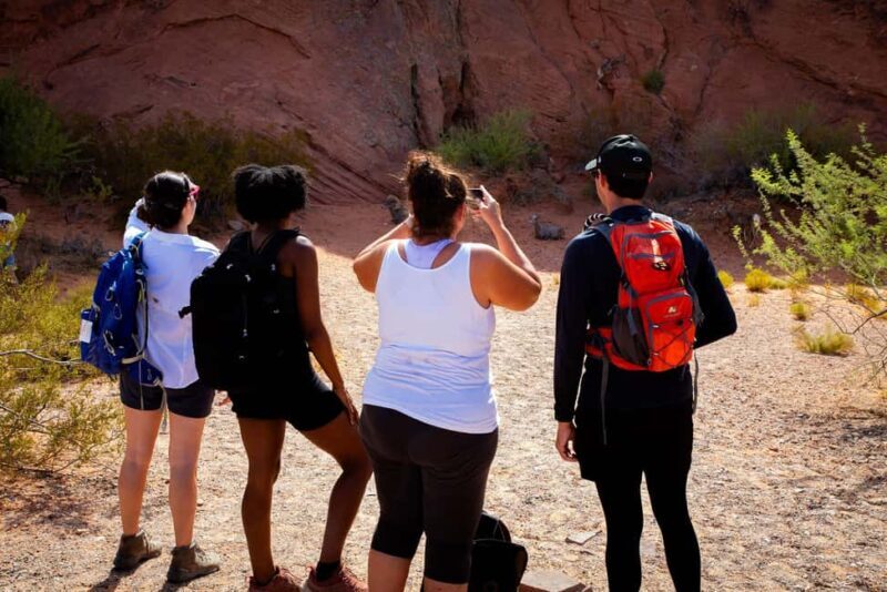 Valley of Fire Guided Hiking Tour & Mojave Desert Adventure - The Value Proposition