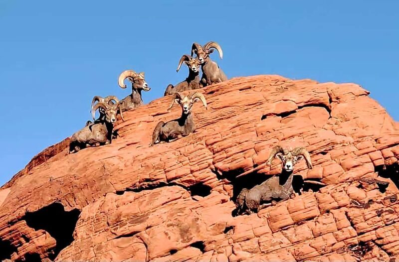 Valley of Fire - The Sum Up: Who Should Consider This Tour?