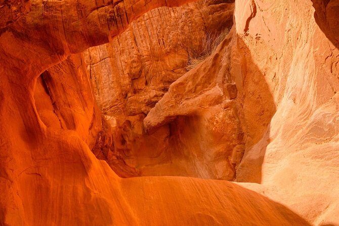 Valley of Fire Tour - The Sum Up: Why This Tour Is Worth Considering