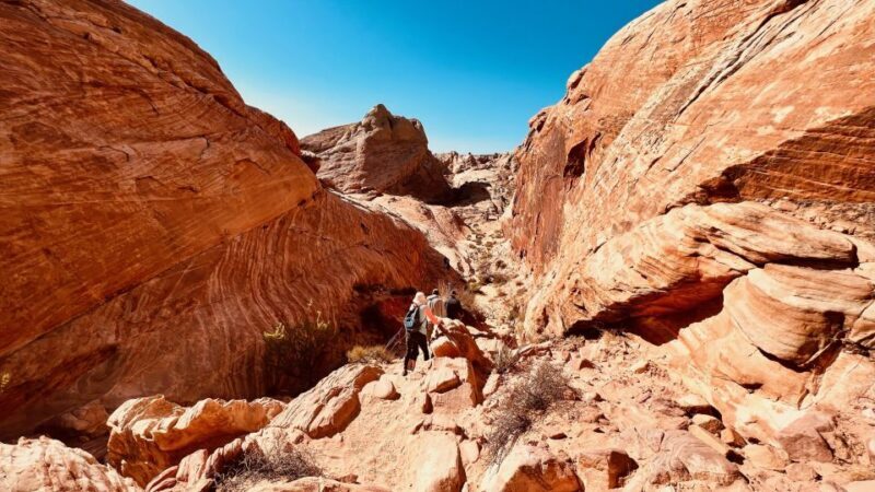 Valley of Fire VIP Small Group Tour From Las Vegas - Who Will Love This Tour?