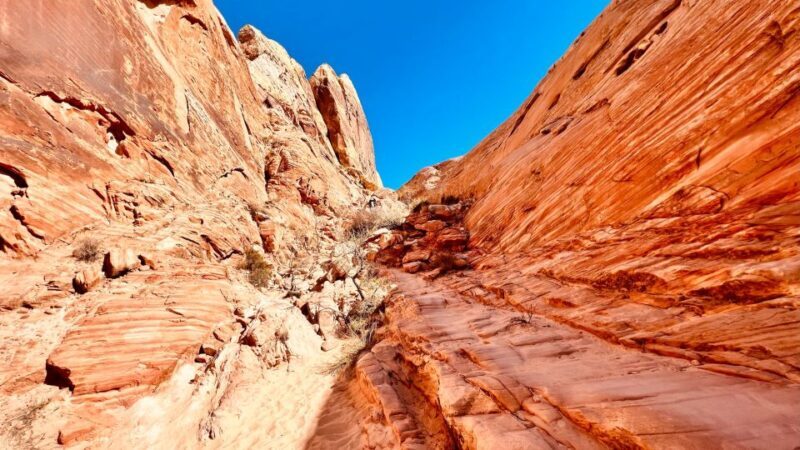 Valley of Fire VIP Small Group Tour From Las Vegas - Who This Tour Is Best For