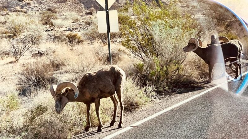 Valley of Fire VIP Small Group Tour From Las Vegas - FAQ