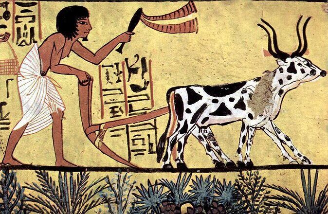 Valley of the Nobles /Habu Temple & Deir El Medina - Introduction