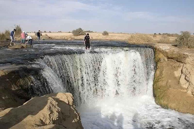 Valley of whale's & Al Fayoum by jeep 4*4 - private Desert full Day Trek - Cairo - Why This Tour Stands Out