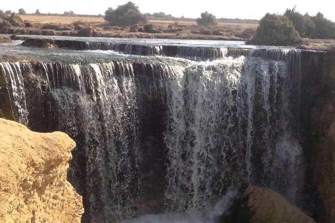Valley of Whales and Wadi El Rayan Water Falls Day Tour from Cairo - Practical Considerations