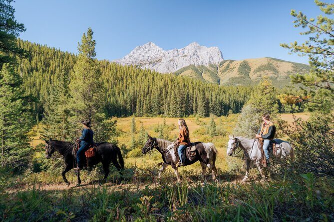 Valley Vista 1.5 Hour Horseback Trail Ride in Kananaskis - An In-Depth Look at the Experience