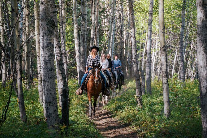 Valley Vista 1.5 Hour Horseback Trail Ride in Kananaskis - The Sum Up: Is It Worth It?