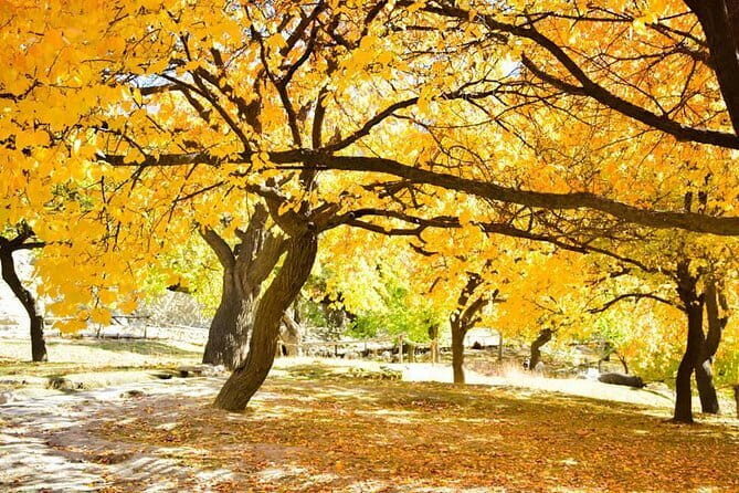 Valleys of Majesty Trails and Culture of Hunza - Living the Mountain Life: Interactions and Authenticity