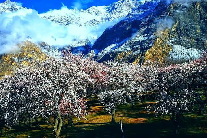 Valleys of Majesty Trails and Culture of Hunza - The Final Days: Return and Reflections