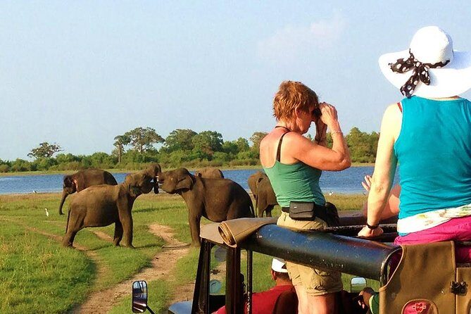 VALUE PACK! One Day Safari Tour to Yala and Udawalawa Parks - Exploring the Tour Itinerary in Detail