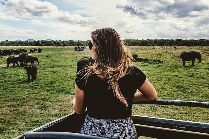 VALUE PACK! One Day Safari Tour to Yala and Udawalawa Parks - Practical Tips for Travelers