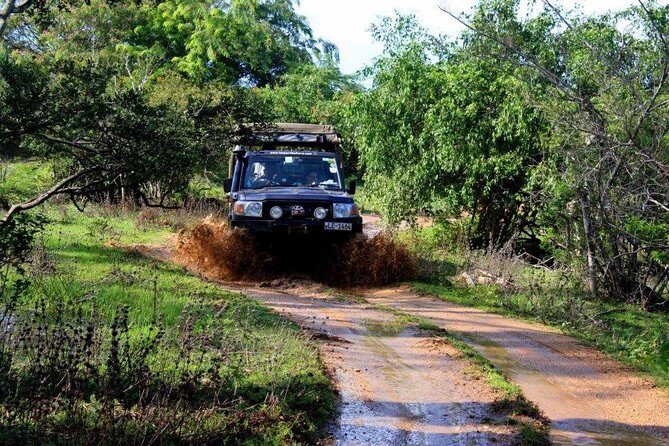 VALUE PACK! One Day Safari Tour to Yala and Udawalawa Parks - Who Will Love This Tour?