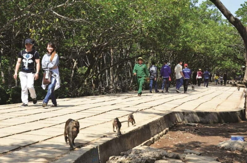 Vam Sat Biosphere & Monkey Island Tour From Sai Gon - A Deep Dive into the Tour Experience