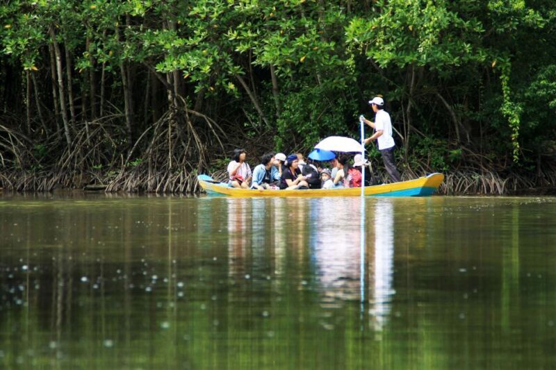 Vam Sat Mangrove Forest Private Tour from Ho Chi Minh City - The Return Journey