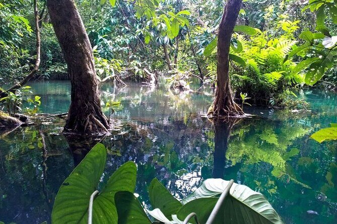 Vam Sat Mangrove Forest - VIP Private Tour from Ho Chi Minh City - Wildlife Encounters & Education
