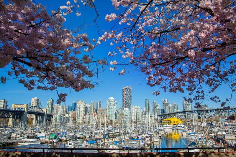 Vancouver: 24 or 48-Hour Hop-On Hop-Off Trolley Tour Pass - The Sum Up