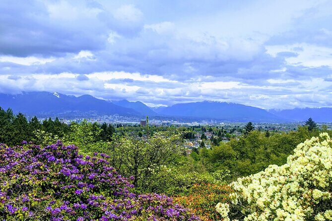 Vancouver 7 hours Airport Layover (MAKE THE MOST) CityTour Private - The Sum Up