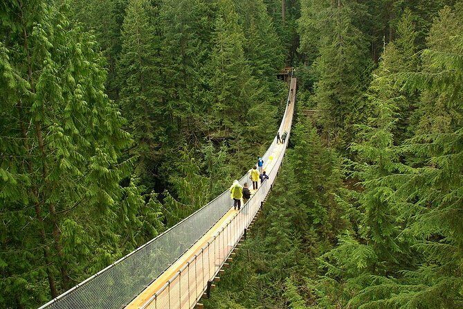 Vancouver and Capilano Park Private Tour - An In-Depth Look at the Vancouver and Capilano Park Private Tour