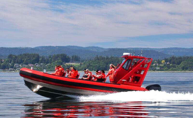 Vancouver, BC: Whale Watching Tour Small Zodiac with Guide - An In-Depth Look at the Vancouver Whale Watching Experience
