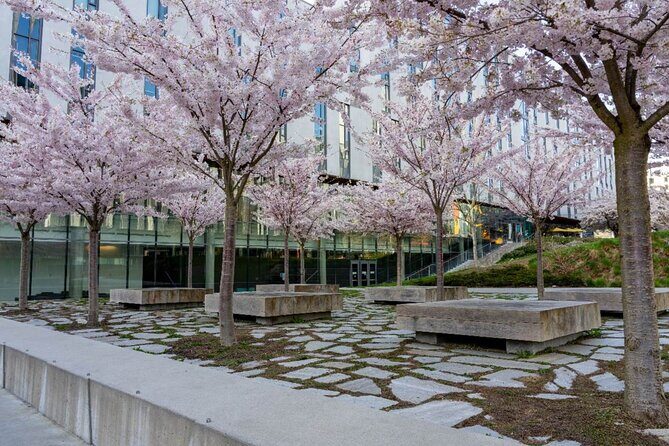 Vancouver Beaches & Downtown: Self-Guided Driving Audio Tour - FAQ