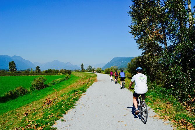 Vancouver Biking and Hiking Tour including Lunch - The Experience in Detail