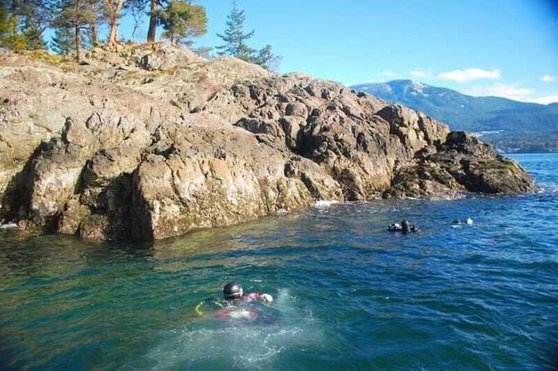 Vancouver: Boat Dive for Certified Diver, Tank & Weight Incl - Practical Tips