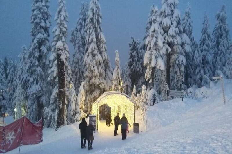Vancouver Capilano Canyon light&peak of Christmas in Grouse - The Itinerary: What to Expect from This Vancouver Holiday Tour