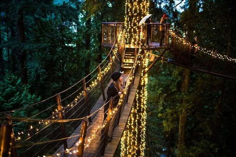 Vancouver Capilano Canyon light&peak of Christmas in Grouse - Who Should Book This Tour?
