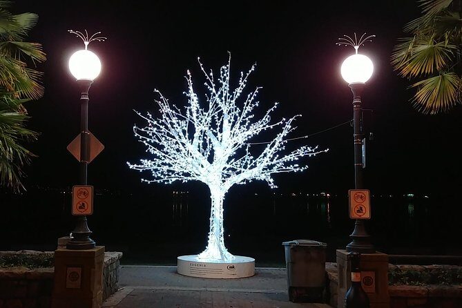 Vancouver Christmas Festival of Lights - FAQ