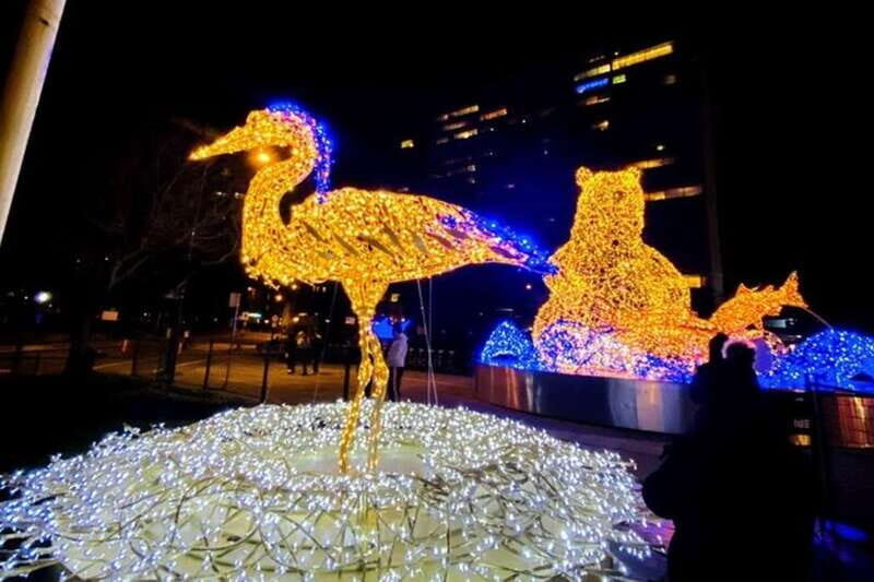 Vancouver Christmas Light Tour private - Why Choose This Tour?