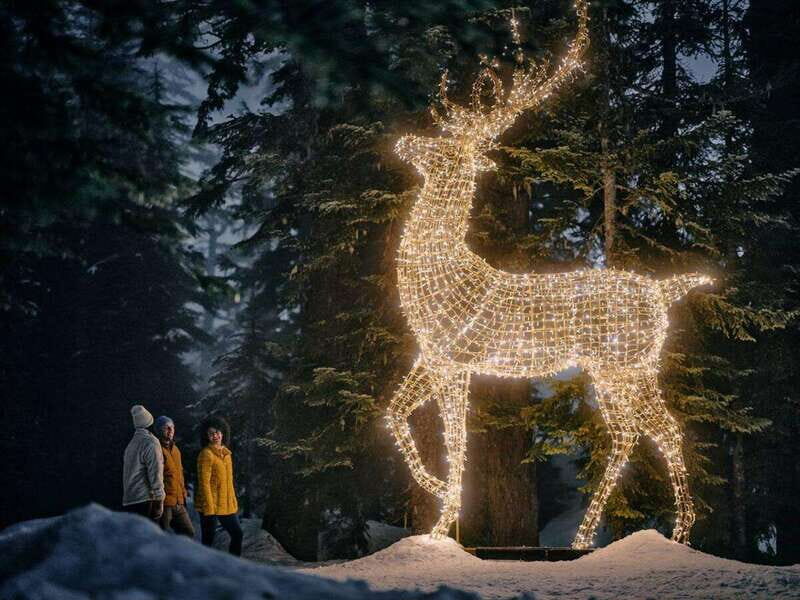 Vancouver: Christmas Lights Karaoke Trolley Tour - The Itinerary Breakdown