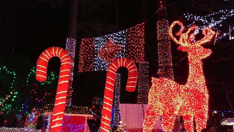 Vancouver: Christmas Tour with Light Festival Entrance - Key Points